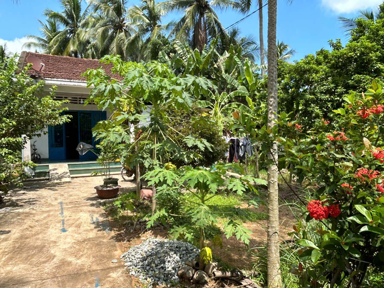 nhà vườn hoài xuân hoài nhơn